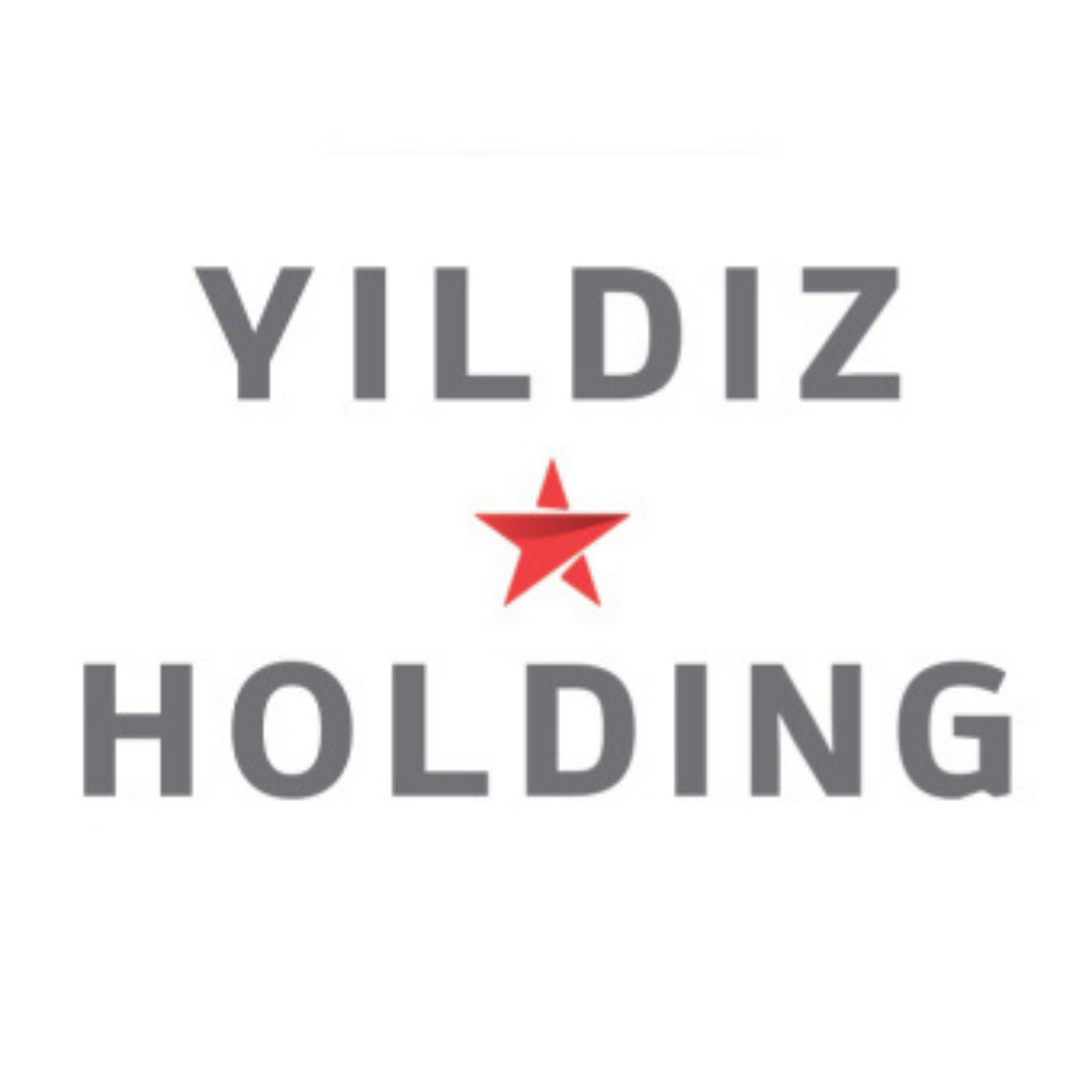 Yıldız Holding